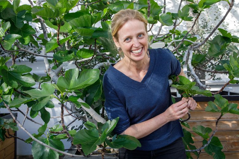 Anneleen Kool leter etter medisinplanter i gamle klosterruiner og tar vare på dem i Urtehagen i Botanisk hage. <i>Foto:  Yngve Vogt/Apollon</i>