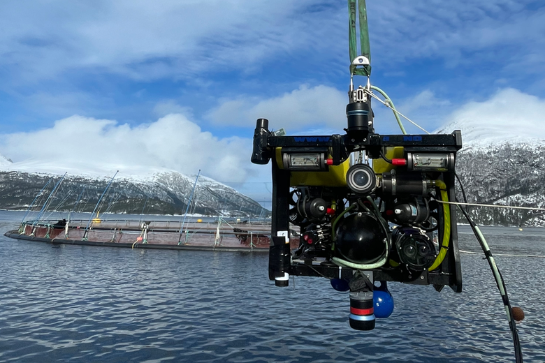 Forstyrrer denne roboten fisken? På roboten er det festet ekkolodd og kameraer for å se hvordan fisken reagerer på robotens bevegelser under vann. Her er den på vei ned i havet utenfor Kristiansund. <i>Foto:  Sintef</i>