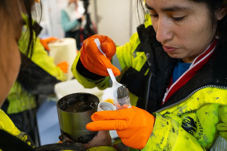 Inés Barrenechea Angeles tar en prøve av bakteriematten. <i>Foto:  Jørn Berger Nyvoll/UiT</i>