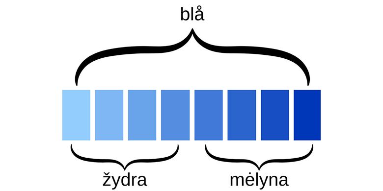 Litauisk har to helt ulike ord for blått: «žydra» (lys blå) og «mėlyna» (mørk blå), mens norsk bare har ett ord: «blå». Dette påvirker hvor rask vi oppfatter nyanser i blåfargeskalaen, mener forskere.. <i>Illustrasjon:  Akvilė Sinkevičiūtė</i>