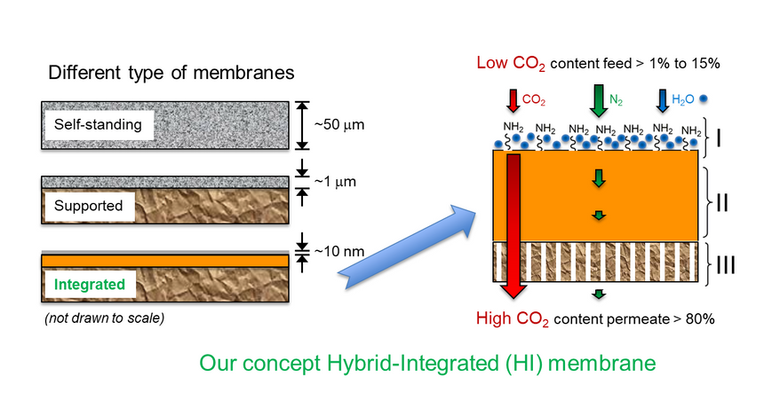 Tykkelsen på en membran måles i mikromenter eller nanometer. Illustrasjonen viser forskjellen på to vanlige membran-konsepter og membranen som nå er utviklet (nederst). Den er bygget i nanometerskala og er en såkalt hybrid-integrert membran. De blå punktene (NH2) er det aktive stoffet; aminene, som fanger CO2-en. Disse sitter på «hårene» som gjør membranen så spesiell. Illustrasjon: Sintef