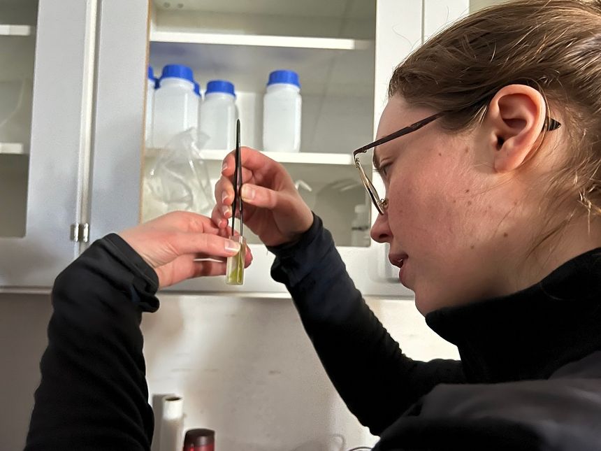 Marie Bøe Henriksen er til vanlig doktorgradsstudent på Institutt for teknisk kybernetikk, hvor hun jobber med småsatellitter. Denne måneden følger hun Universitetssenteret på Svalbards kurs i marinbiologi på masternivå for å skjønne hva hun forsker på fra verdensrommet. Foto:  Live Oftedahl