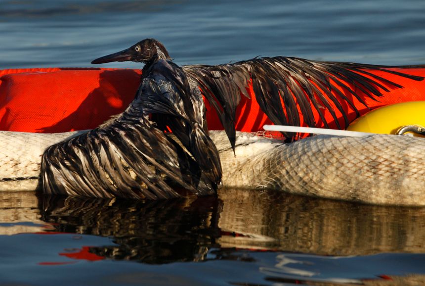 Deepwater Horizon-plattformen gikk i lufta 20. april 2010. 11 personer omkom, og 4,9 millioner fat olje rant ut i Mexicogolfen. Miljøødeleggelsene var enorme. Foto:  Gerald Herbert/AP/NTB