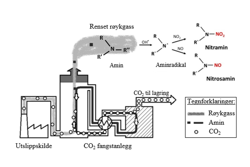 Utslipp fra CO2-fangstanlegg kan reagere kjemisk med andre stoffer i lufta slik at det dannes kreftfremkallende stoffer. Her ser vi en illustrasjon av CO<sub>2</sub>-fangstprosessen med atmosfærisk dannelse av nitrosaminer og nitraminer fra aminer. Illustrasjon:  Cathrine Brecke Gundersen