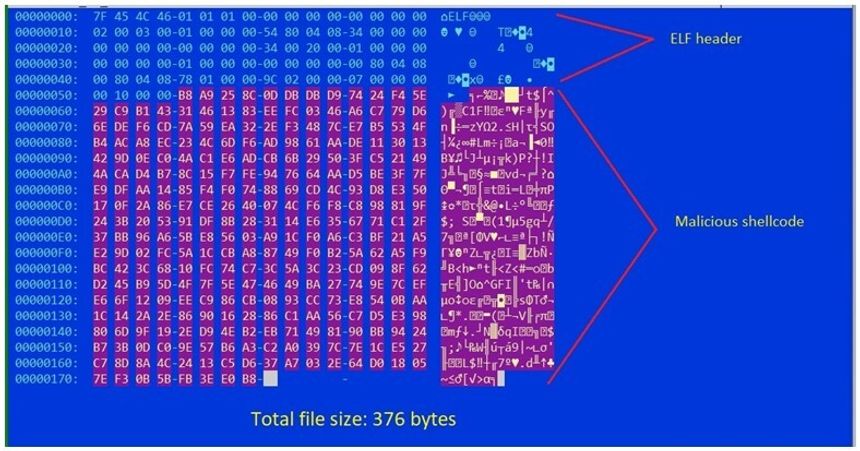 Det hele begynner med en fil på bare 376 bytes. Skjermbilde: AT&T Alien Labs