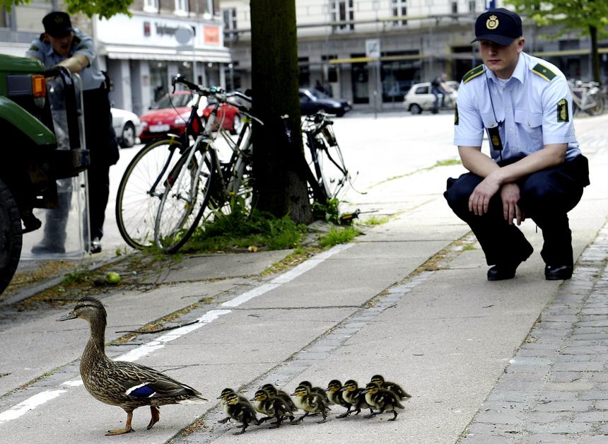 Hvorfor følger de det sånn? Det er det opptil flere forskergrupper innen fysikk som er opptatt av. Foto: Mogens Flindt/NTB