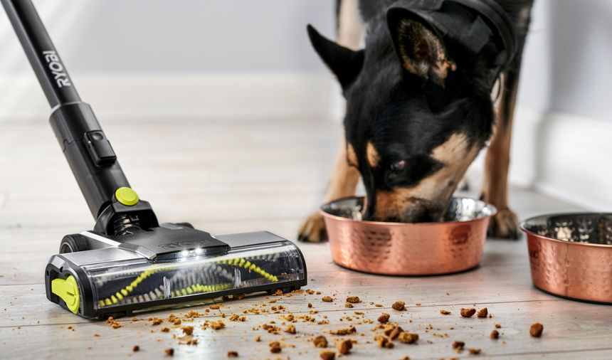 Lar du hunden spise ferdig først, slipper du trolig å få alle disse matbitene inn i Ryobis nye støvsuger