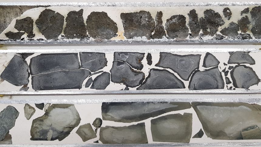 Dette er kjerneprøver Oljedirektoratet hentet ut på et tokt i 2020. Foto:  Jon Hellevang