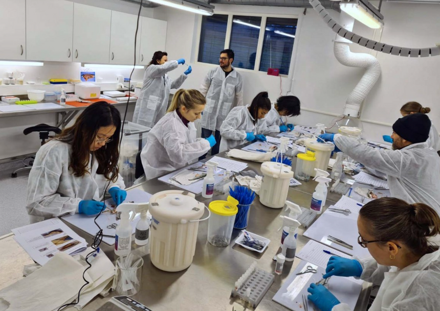 Forskerne har gode resultater på laboratoriet. Neste skritt blir å oppskalere, det vil si å produsere nok til at det kan gjøres i industrien. Foto: NMBU