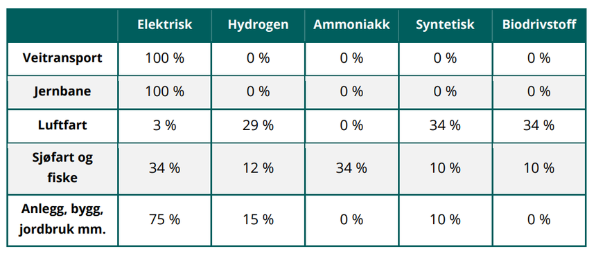 Miljødirektoratet legger til grunn at all veitransport kommer til å være elektrisk i 2050. Likevel vil det blir stort behov for syntetiske drivstoff til fly, skip og anleggsmaskiner. Skjermbilde: Miljødirektoratet