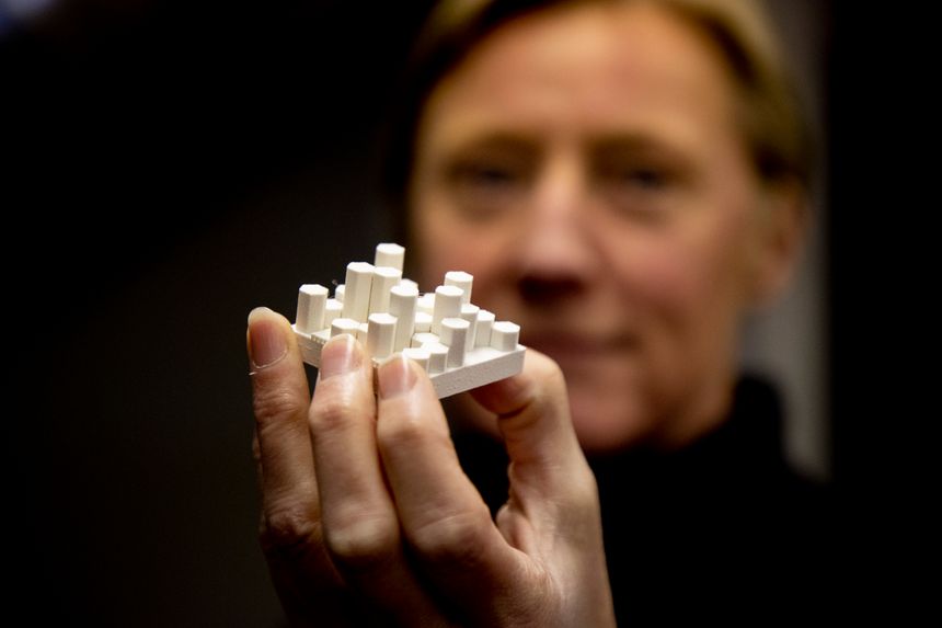 Ved hjelp av en 3D-printer lager svenskene små modeller for å se hva slags strukturer korallene fester seg best til. Disse modellene kan hjelpe til med å reetablere korallrev der det ikke lenger er gamle koraller larvene kan feste seg på. Foto:  Adam Ihse/TT/NTB