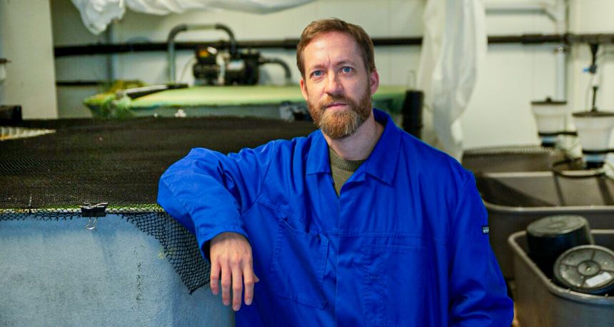 – Det er viktig å bruke stor nok fisk og så små implantater som mulig og la fisken restituere, sier Eirik Svendsen. Foto:  Daniel Gløsen