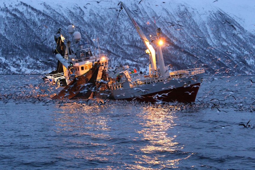 Tauverk er et nøkkelmateriale i alt av fiskeredskap. Det lages av forskjellige plasttyper og har høyst spesialiserte oppgaver. Foto:  Alessandro De Maddalena/Shutterstock/NTB