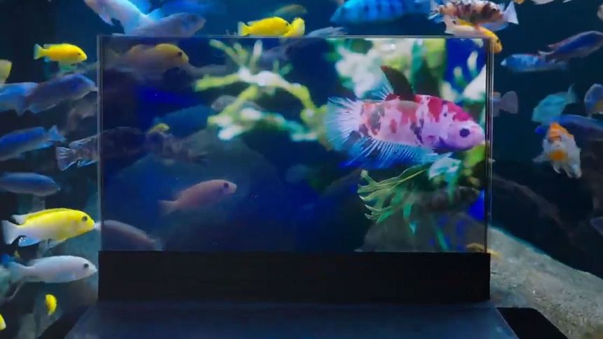 PC.-en kan gå i ett med bakgrunnen, i den grad det er en ønskelig egenskap. Foto: Lenovo/YouTube