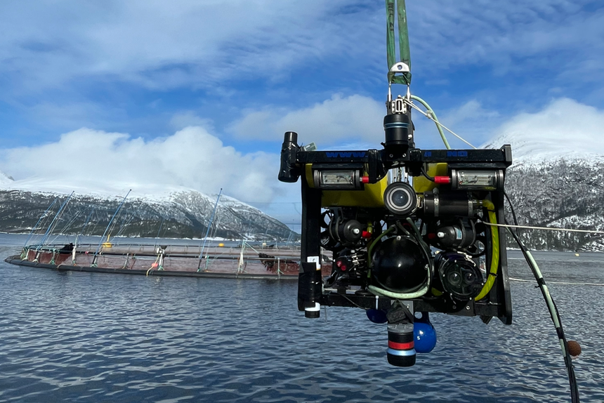 Forstyrrer denne roboten fisken? På roboten er det festet ekkolodd og kameraer for å se hvordan fisken reagerer på robotens bevegelser under vann. Her er den på vei ned i havet utenfor Kristiansund. Foto: Sintef