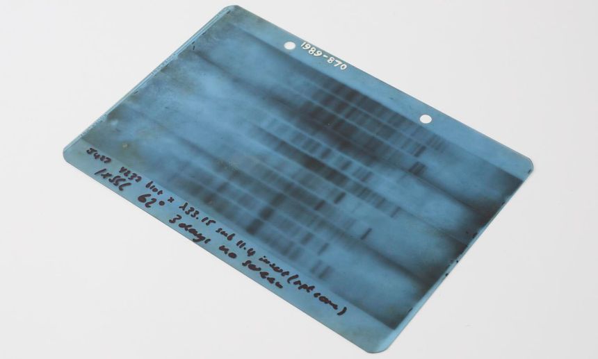Dette er et negativ av det første genetiske fingeravtrykket laget av Alec Jeffreys 19. september 1984. Bildet viser DNA-mønstre fra ulike personer. Der mønstrene er like, er prøven fra samme person. Foto: Science Museum Group, CC BY-SA 4.0 DEED