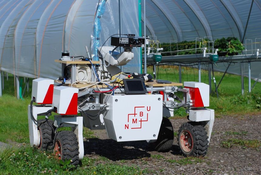 Torvald fra Saga Robotics finner den beste jordbæra nå når han har fått «supersyn» via sensoren FragoPro. Foto:  Anders H. Hansen/Sintef