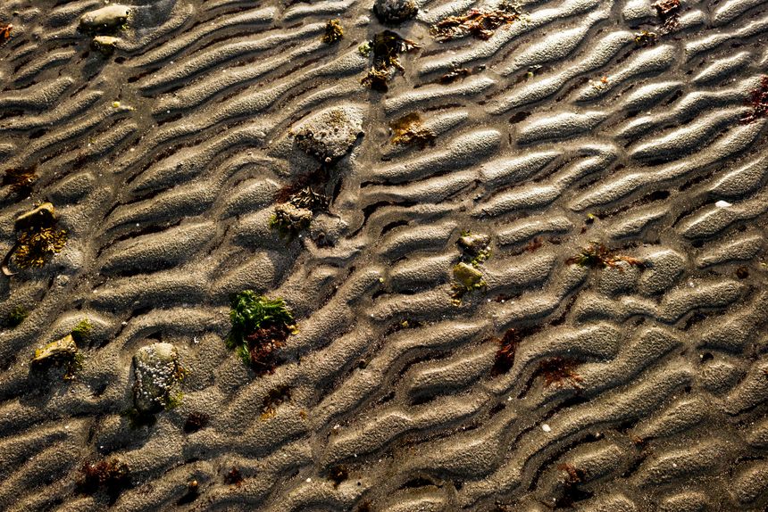 Miljøvennlig betong har blåleire som en viktig ingrediens. Leira er å finne nesten over alt, også på norske strender. Dette bildet er tatt på Hitra i Trøndelag. Foto:  Øystein Lie/Gemini