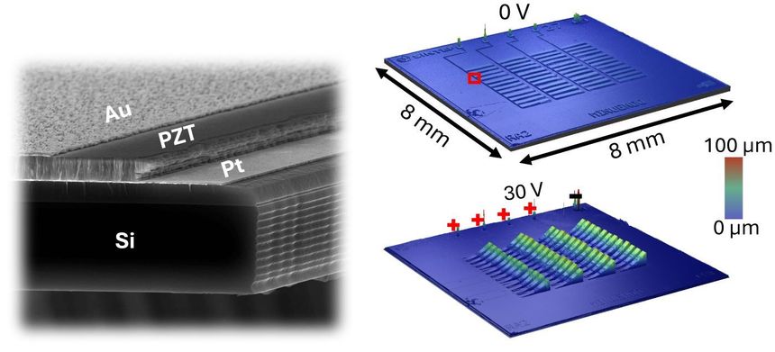De mikrometer tynne lagene (t.v.), laget som små bjelker, gjør det mulig å åpne og lukke slisser og dermed adaptivt variere dempingen i øreproppen (t.h.). 40dB ved 0 V, ingen demping ved 30 V. Illustrasjon:  Sintef
