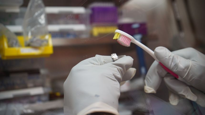 Det er nesten ikke oksygen inne i batterilaboratoriet. Likevel dekkes natriummetallet av et tynt lag med oksygen. Skurtveit bruker en tannbørste for å pusse av oksygenet før hun kjevler natriumklumpen til en flatpakket pannekake som passer inne i batteriet. Foto:  Elina Melteig/UiO