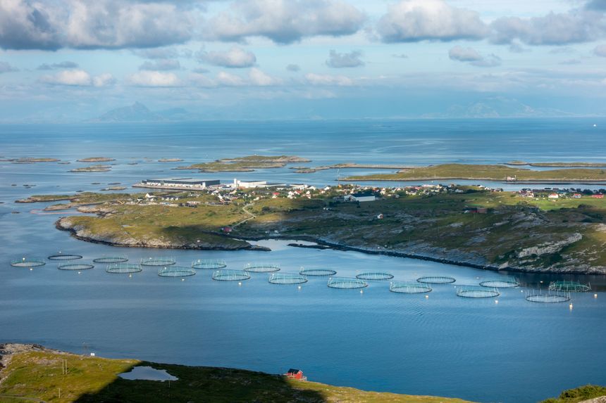 Nova Sea Havbruks oppdrettsanlegg på Træna på Helgelandskysten. Konsernet solgte 42.000 tonn med laks i 2024. Generelt ser sjømatnæringen optimistisk på framtida. Foto:  Cornelius Poppe