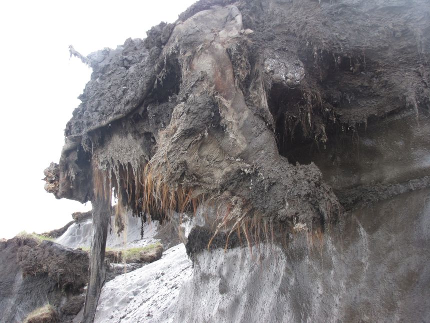 Mammuten kalt Yuka dukket fram fra permafrosten i det nordøstlige Sibir tilbake i 2010. Foto:  Grigory Gorokhov/UiT Norges arktiske universitet