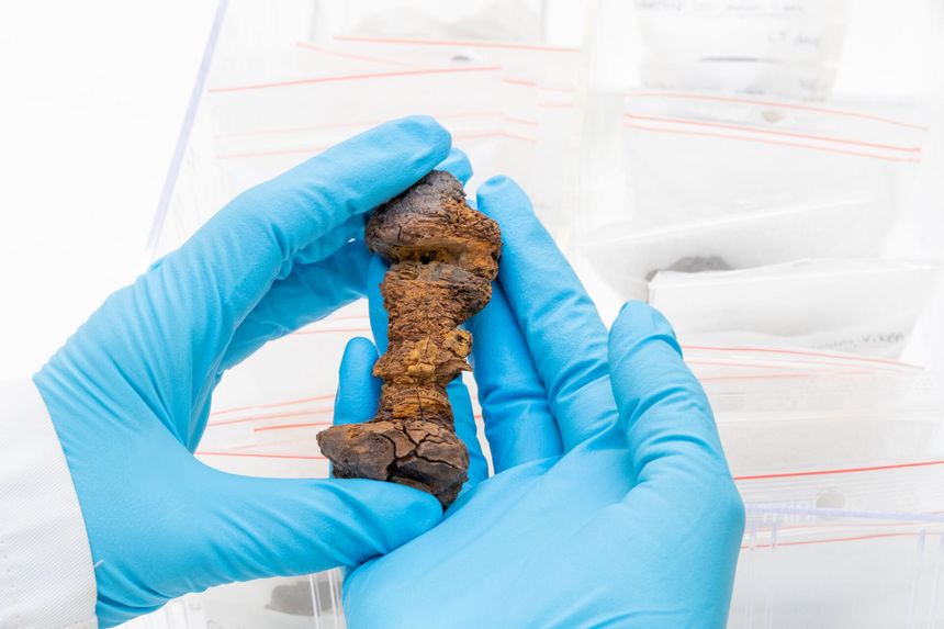 Her er en av de mer enn 1500 naglene konservert slik at den kan bevares for ettertiden. Foto:  Yngve Vogt/Apollon