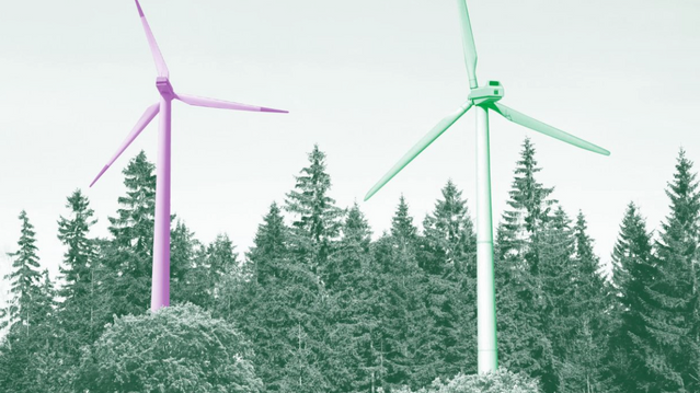 Svensk forsker slår alarm om vindturbiners dype brumming: – Vi gambler med folks helse