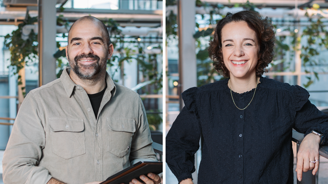 Reduser sløsingen med konsulenter!