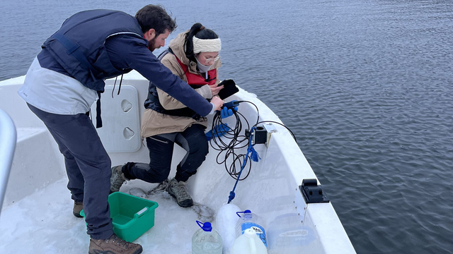 Noen kanner med sjøvann avslører fiskelivet i Oslofjorden