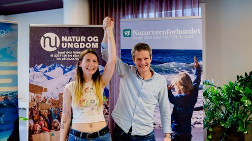 Illustrasjon av Naturvern­seier i Førde­fjorden – men staten kan få et nytt argument