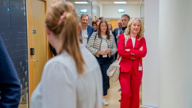 Dette ønsker nærings­livet seg fra EØS-nissen