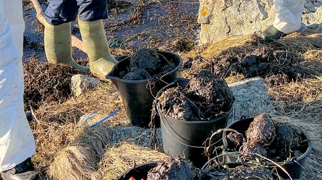 75.000 liter olje havnet i sjøen – tilfeldig at det ikke ble mer