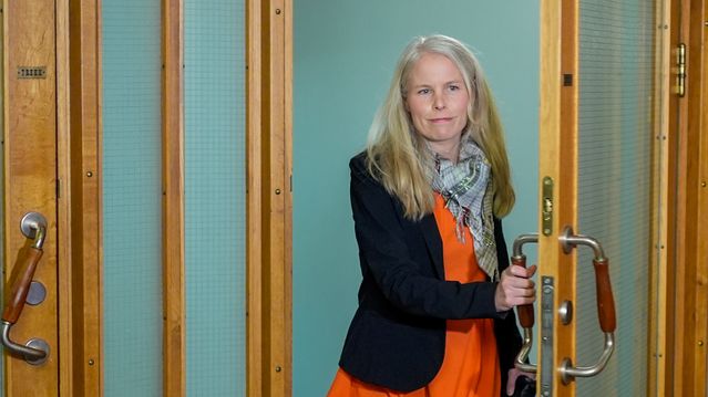 Vil ha statlig eid nasjonal sky