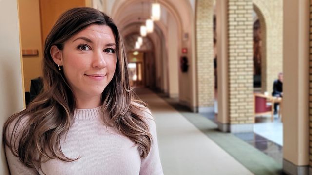 Innleiekaoset: − Regjeringen må rydde opp