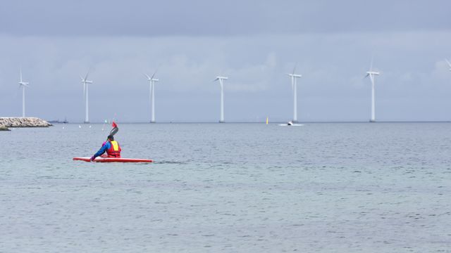 Skal bygge seks havvindparker: – Største danske utlysning noensinne