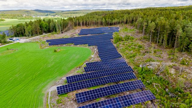Mattilsynet om solkraftverk: – Fornuftig å legge et føre-var-prinsipp til grunn