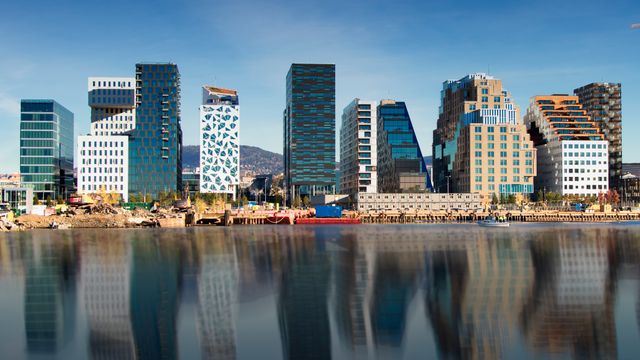 Ekskluderte halvparten av konsulenthusene