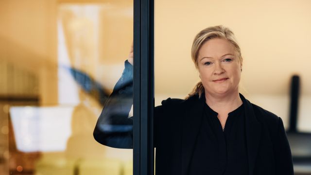 – Ingen reell styrking av Datatilsynet