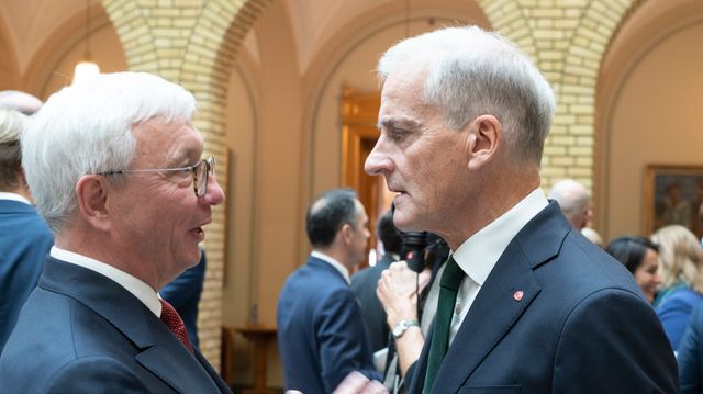 Gode IT-løsninger blir ikke rullet ut. Han peker på Støre