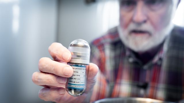 Dings førte til 54 prosent færre drepte niser. Havforsker skjønner lite