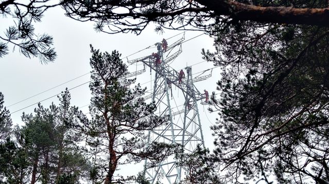 Svenska kraftnät i harnisk over norgespris