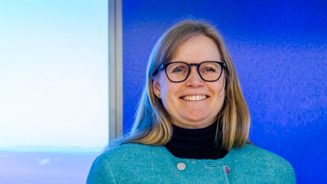 Statkraft-sjefen spår stabile strømpriser det neste året