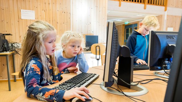Skriveprogrammene i skolen driver vranglære, mener Språkrådet