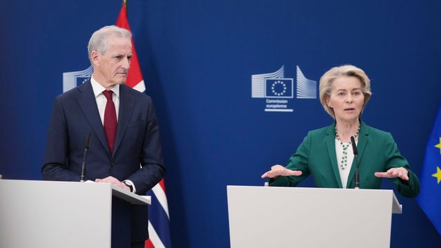 EUs medlems­land vedtar toll på ferro­le­ge­ringer med knepent flertall