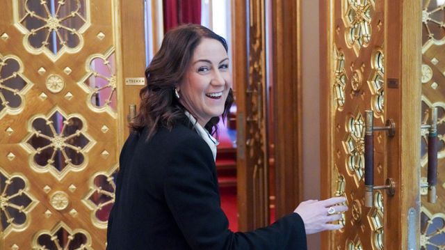 Innleiekaoset: Lover å involvere selvstendige konsulenter