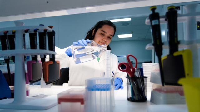 Smell for bioteknologi – men hos Nykode råder optimismen