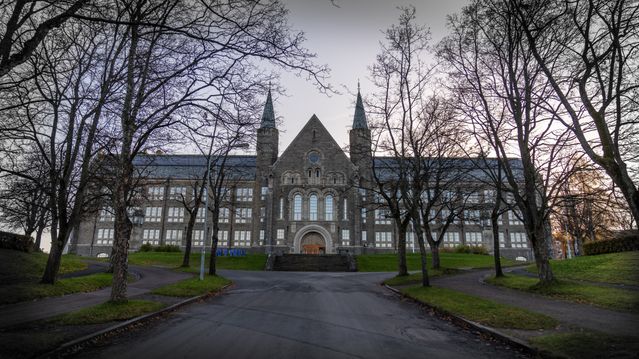 Rapport om kollektivtilbudet: NTNU kommer dårligst ut
