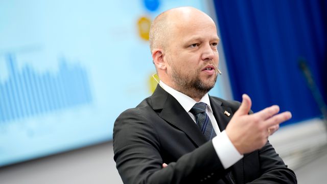 Statlig konsulenthus: Gammel løsning på nye problemer