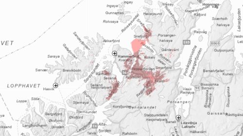 Illustrasjon av Politiet starter etterforskning